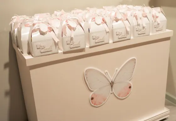 Custom favor boxes displayed on a blush cabinet with a large butterfly cutout